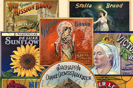 Vintage Fruit Crate Labels - 8 PNGs