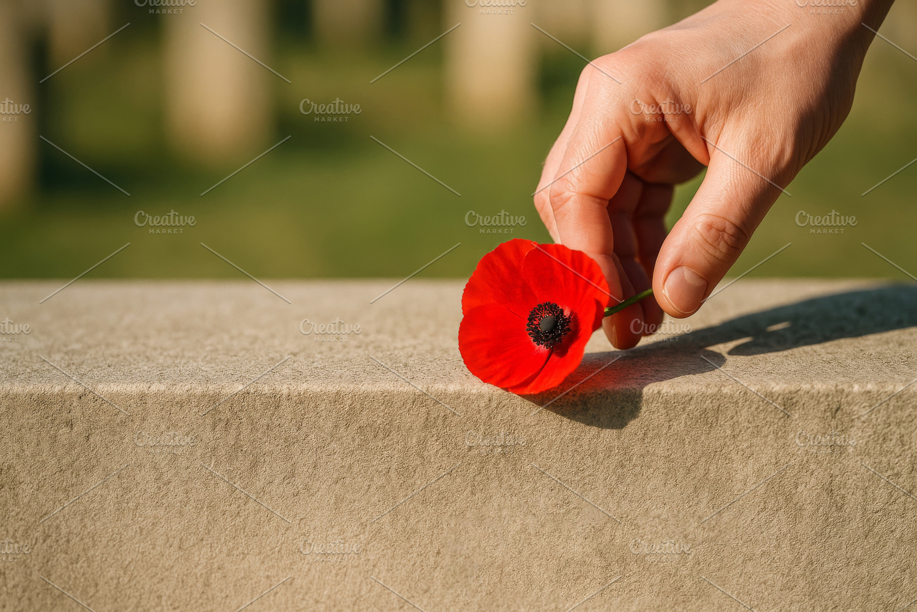 Poppy flower laid on a tombstone for, a Photo by Dvoevnore photos