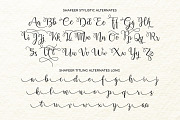 Shafeer, a Script Font by Abo Daniel Studio (Thumbnail 12 of 15)