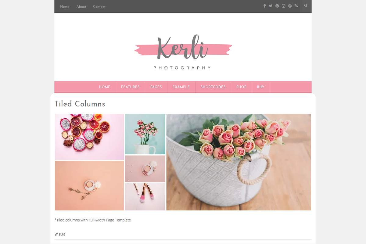 Kerli - Personal WordPress Theme, a WordPress Template by VolThemes (Photo 3 of 5)