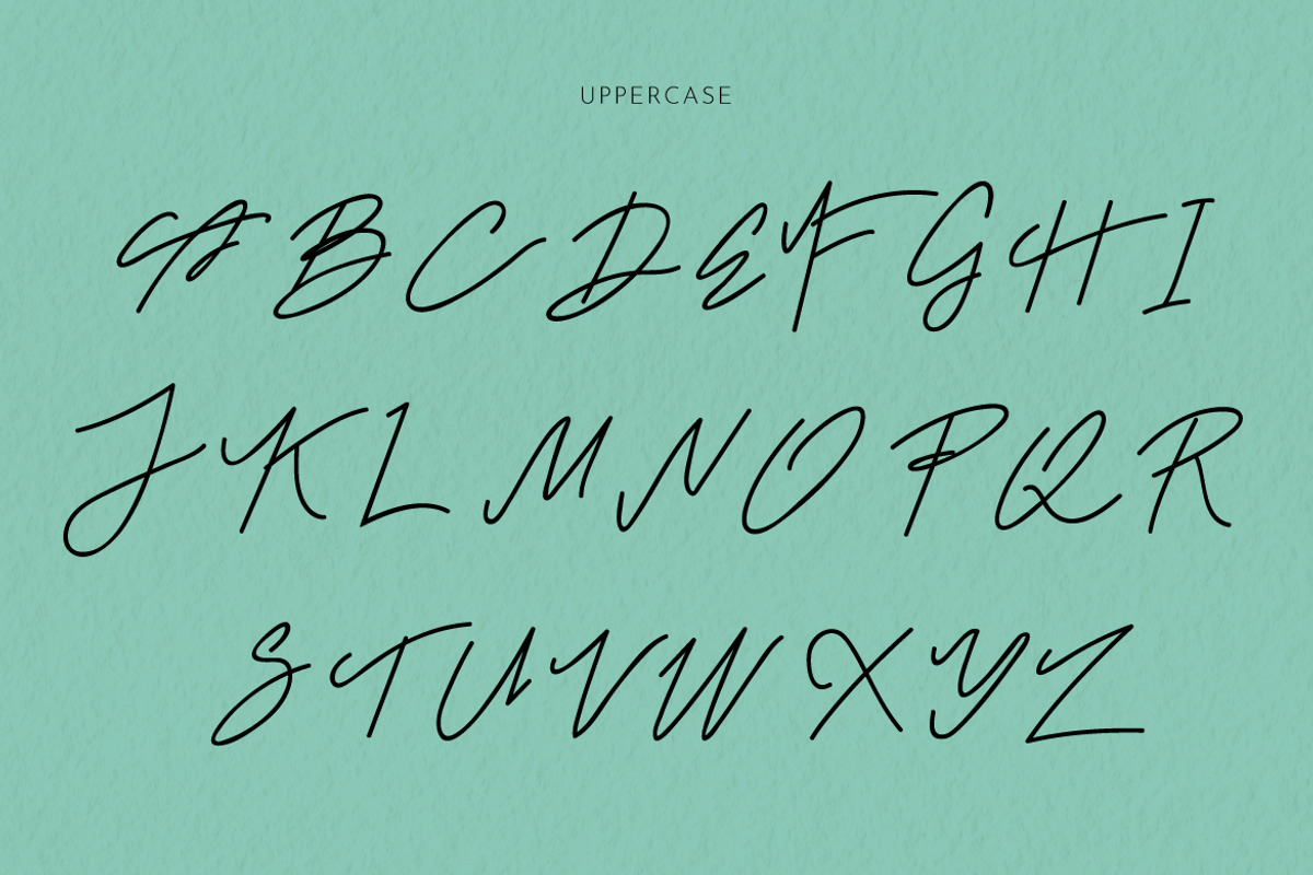 Mr. Skywhale Signature Script Font, a Handwritten Font by ashenterprise (Photo 11 of 16)