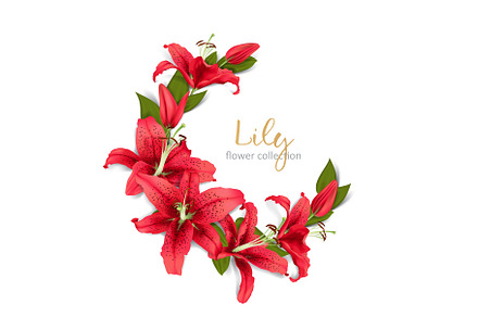 Wedding invitation with red lily flowers