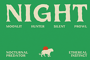 UT Qlared - A Flare Serif Font, a Serif Font by Universitype (Thumbnail 10 of 14)