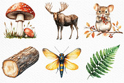 Watercolor Woodland Life Clipart, an Illustration by Craft Nest (Thumbnail 5 of 6)