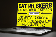 KWINC Grotesk, a Sans Serif Font by Sudtipos (Thumbnail 4 of 11)