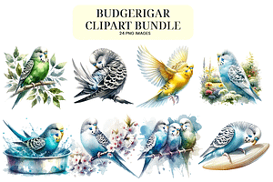 Watercolor Budgie Clipart