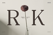 GC Quick Gaseous – Elegant Serif, a Serif Font by Glyphonic (Thumbnail 8 of 15)