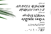 Karacca Typeface, a Script Font by Akdesain (Thumbnail 5 of 5)