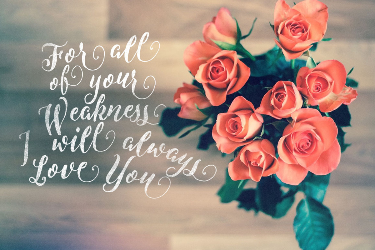 Levitte Script, a Script Font by Flavortype (Photo 2 of 5)