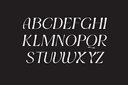 Ectogenic, a Serif Font by CreateBigSupply (Thumbnail 4 of 8)