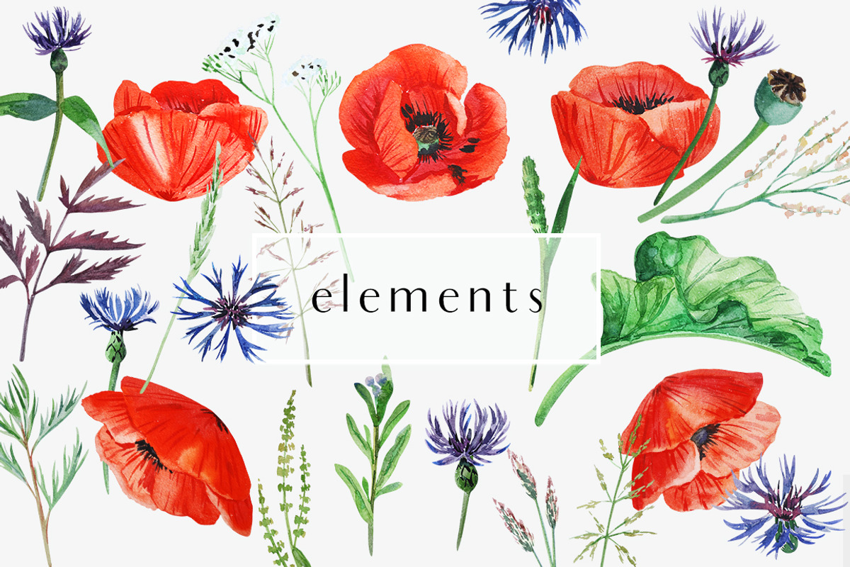 Poppies. Watercolor clip art., an Illustration by Anyuka (Photo 4 of 5)