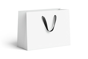 White Paper Gift Bag 3 Type 3D Model