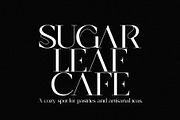 Dynasty - Curly Display Serif, a Serif Font by subkulturetype (Thumbnail 3 of 8)