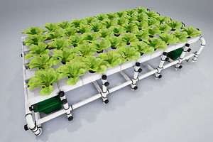 Hydroponics System LR