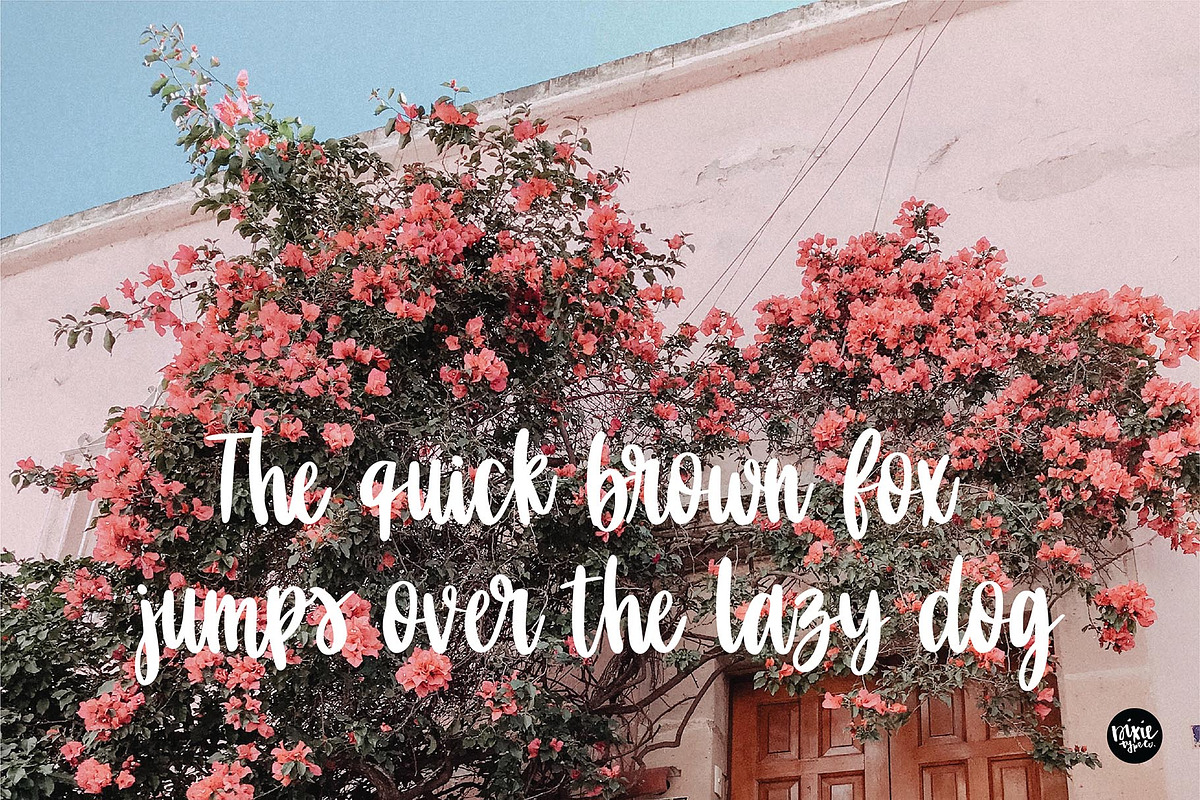 GORGEOUS SKYWALK Script Font preview 5