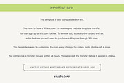 Retro Wix Website Template, a Wix Template by Studio Luxe Creative (Thumbnail 12 of 12)