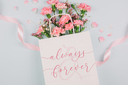 Pertysh Tulipita Stylish Calligraphy, a Script Font by stylishtype.co (Thumbnail 17 of 20)