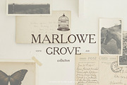 Stonewynd Rustic Serif Font, a Font by Eclectic Anthology (Thumbnail 3 of 8)
