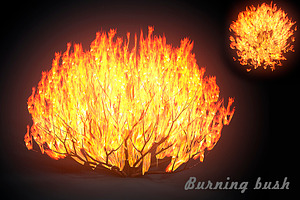 Burning Bush