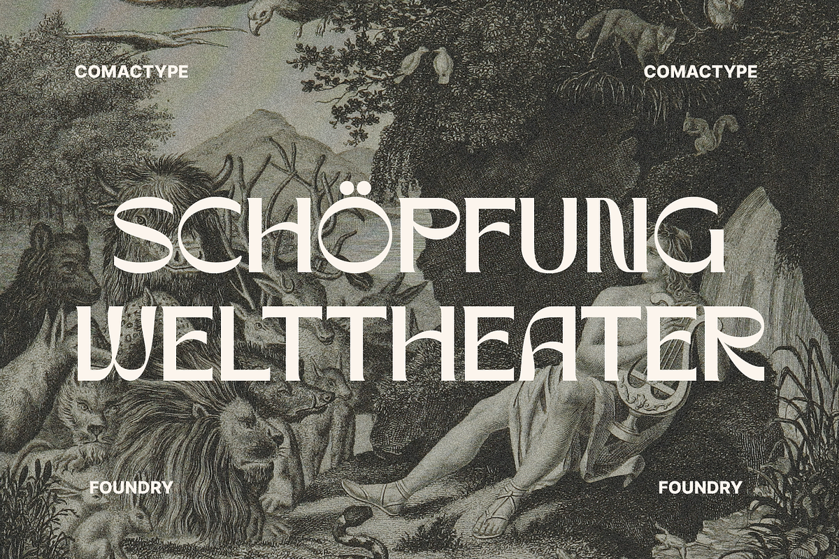 Rynogen - Decorative Typeface, a Sans Serif Font by Comactype Foundry (Photo 12 of 14)