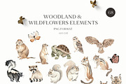 Watercolor Forest Woodland animals, an Animal Illustration by Grace Noboa Illustrations (Thumbnail 7 of 10)