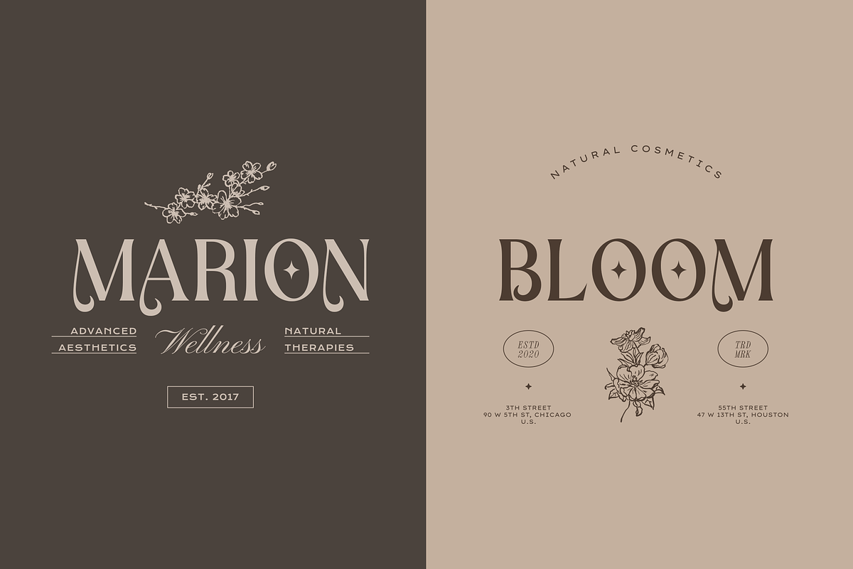 Botanics Display Variable, a Serif Font by Typetemp Studio (Photo 2 of 11)
