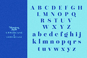 Morgenlicht, a Serif Font by INKSUN™ (Thumbnail 9 of 13)