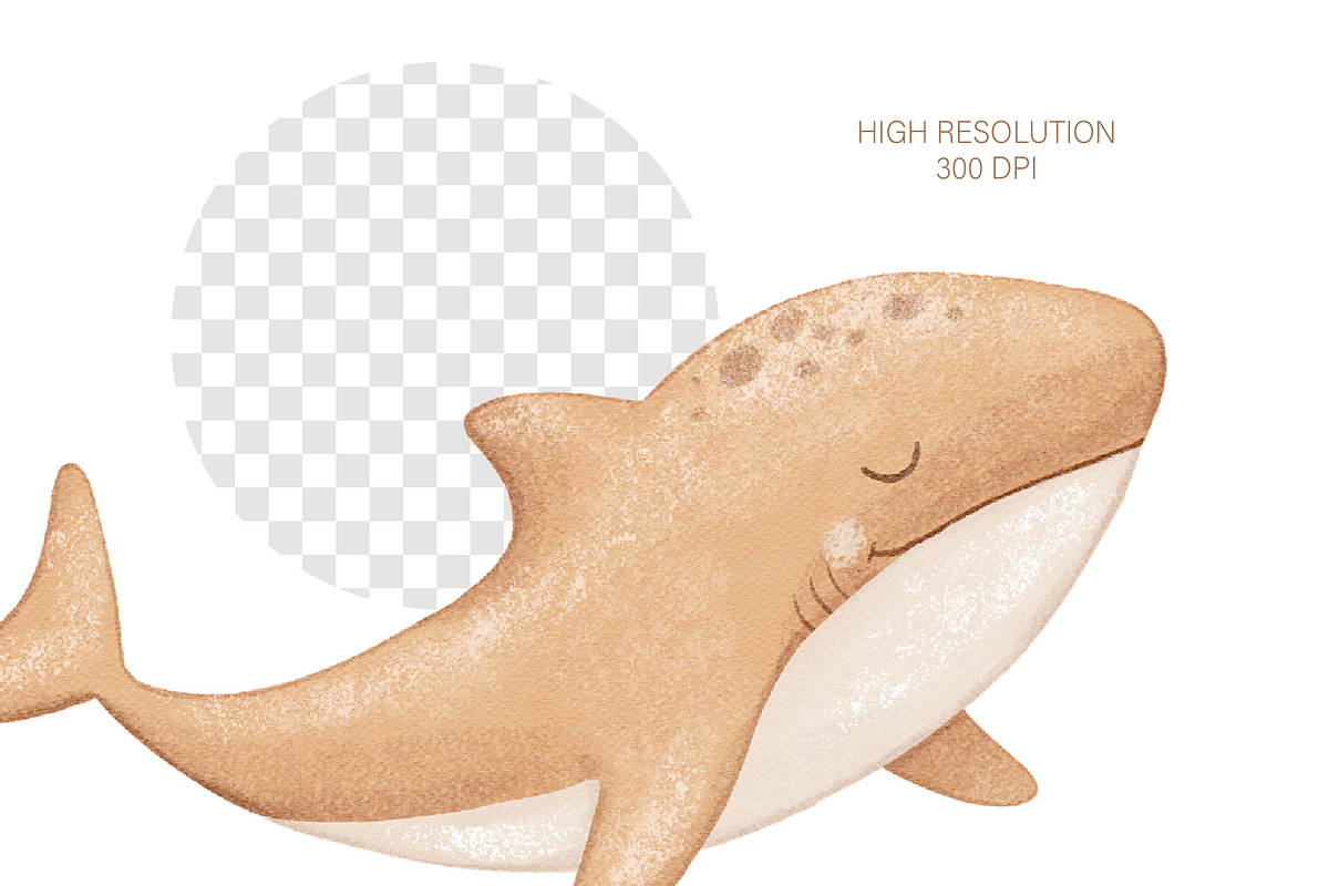 Watercolor Sea Animals Clipart, an Animal Illustration by ElenaPlatovaArt (Photo 10 of 13)