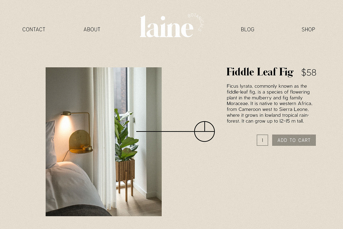 Logo Font Bundle by Jen Wagner Co., a Sans Serif Font by Jen Wagner Co (Photo 10 of 37)