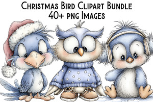 Christmas Bird Clipart Bundle, an Illustration by Pixels.Craft