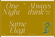 Dh Irlia - 7 Fashion Swash Family, a Serif Font by Dharmas Foundry (Thumbnail 11 of 19)
