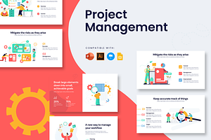 Project Management Infographics