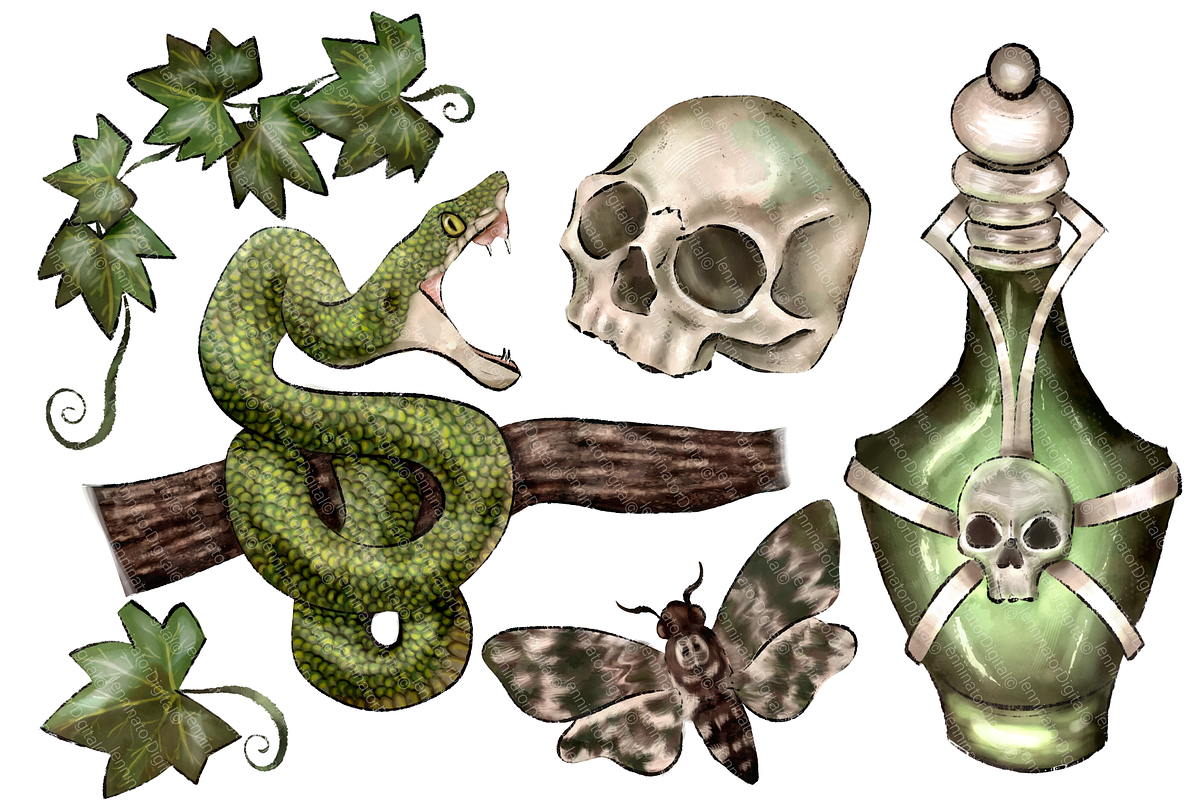 Magic Snake Clipart - Hand Drawn PNG, an Animal Illustration by Lenninator Digital (Photo 3 of 7)