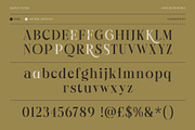 Crowey | Elegant Classic Serif Font, a Serif Font by Hole Hope Design (Thumbnail 4 of 10)