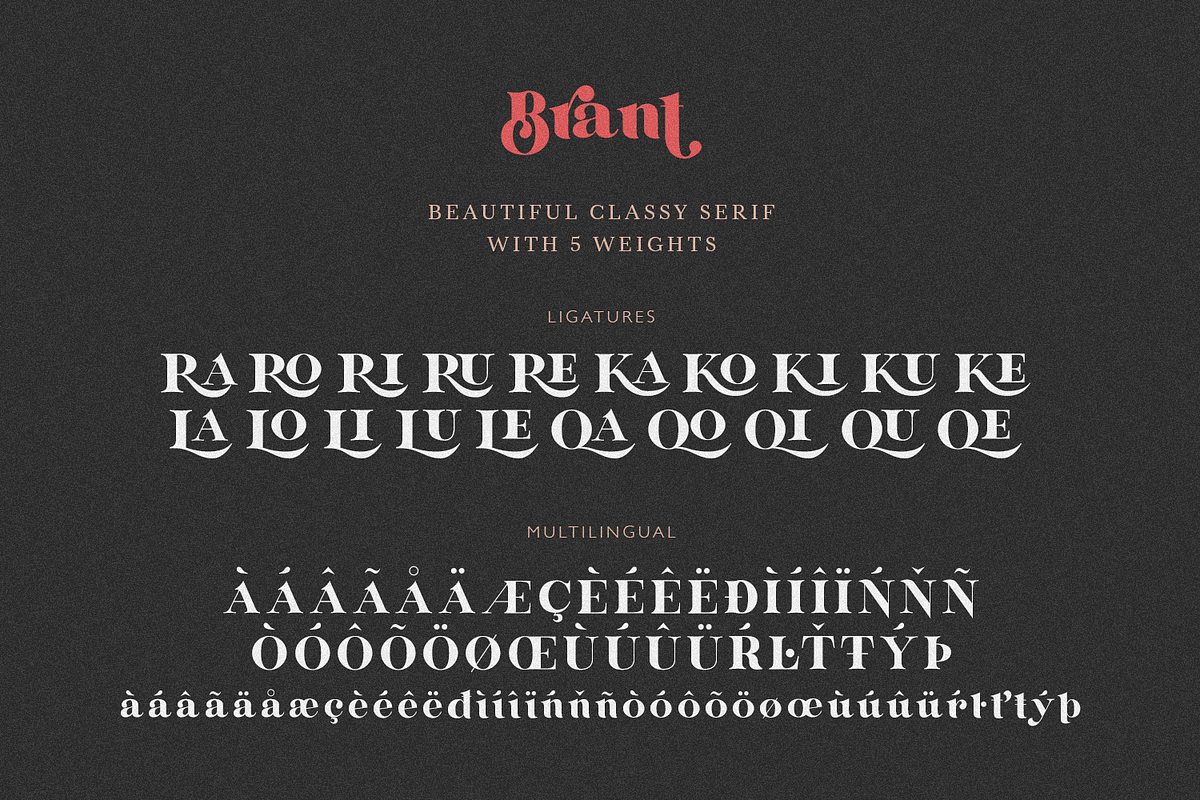 Brant, a Serif Font by FactoryType Studio (Photo 10 of 11)