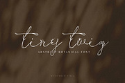 Tiny Twig - Botanical Display Font, a Handwritten Font by AndrewPixelType (Thumbnail 1 of 7)