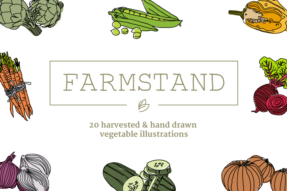 20 Handdrawn Vegetable Illustrations, a Food Illustration by Linseed Studio (Photo 1 of 3)