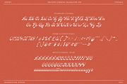 Britany Sunrise Vintage Script Font, a Script Font by RantautypeStudio (Thumbnail 12 of 13)