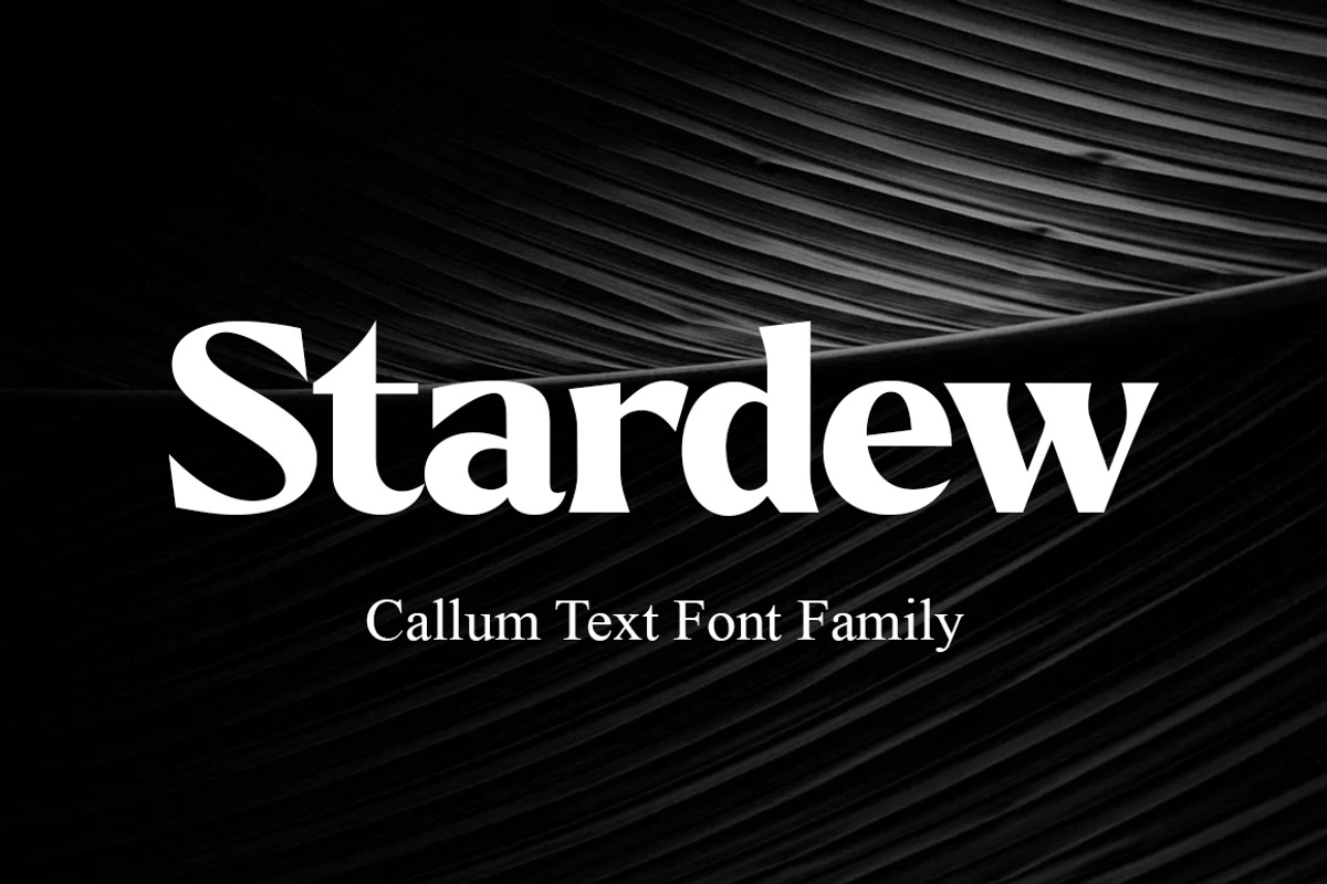 Callum Text Serif | 9 Font, a Serif Font by Positive TypeFoundry (Photo 5 of 13)