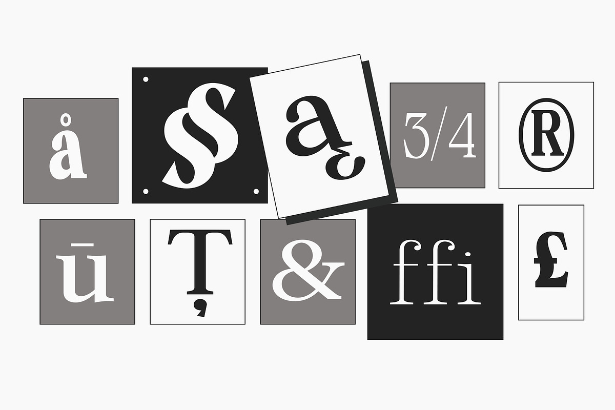 Calgine Serif, a Serif Font by MasaType (Photo 7 of 12)