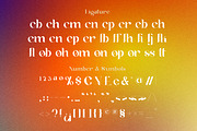 Suika a Modern / Vintage Font, a Serif Font by Lettertype Studio (Thumbnail 15 of 15)