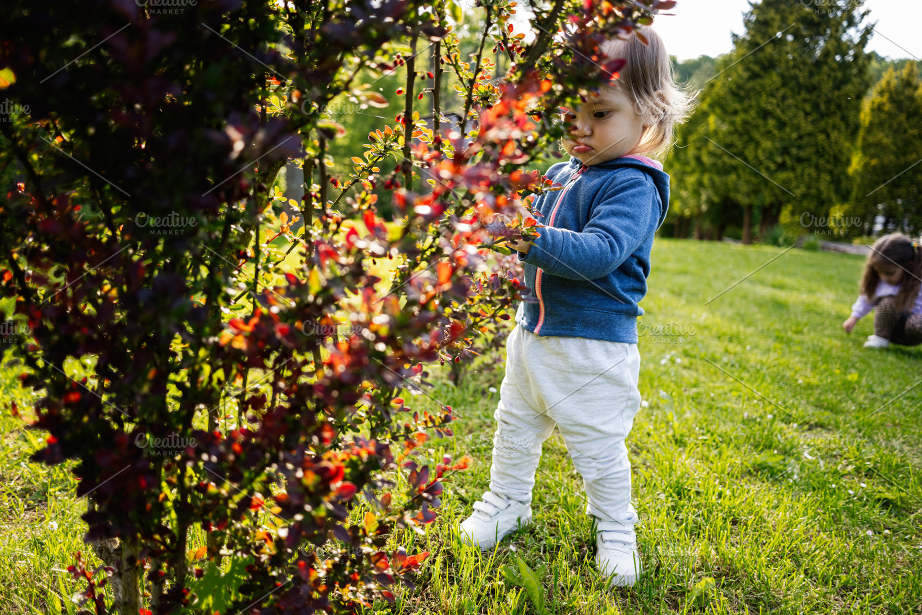 Young child exploring nature in a vibrant garden with lush greenery, a Photo by AS photostudio