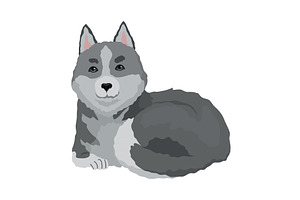 Cute gray wolf pose. Cartoon, an Animal Illustration by the8monkey