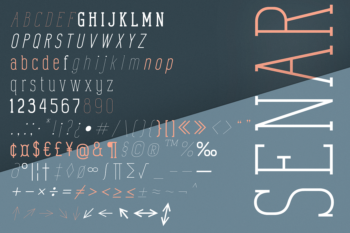 Senar, a Sans Serif Font by Larin Type Co. (Photo 10 of 10)