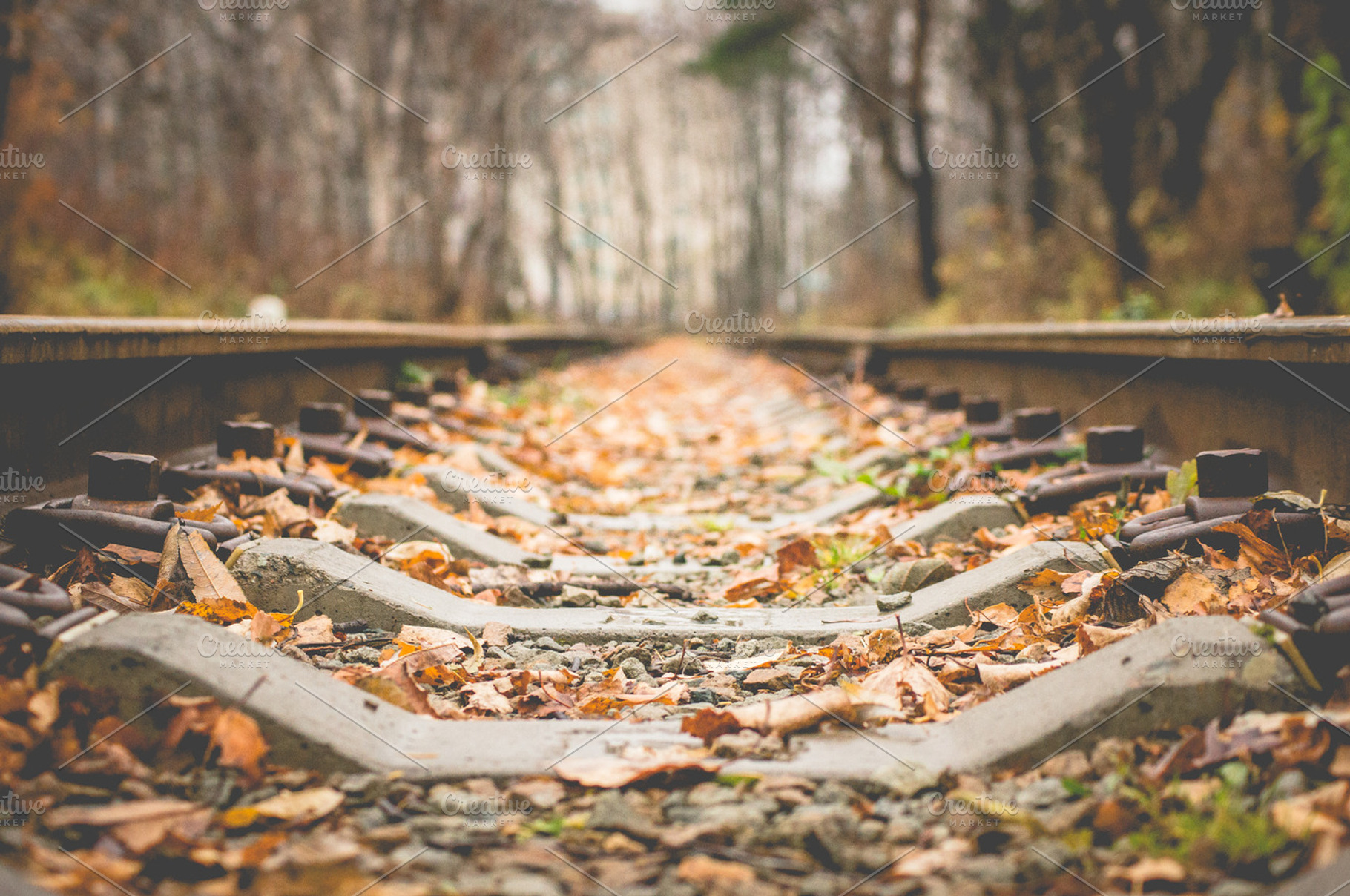 Autumn Railroad - Leaf Fall, a Nature Photo by Zibloidix