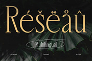CS Arquis – Condensed Font, a Serif Font by Craft Supply Co. (Thumbnail 3 of 8)