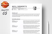Resume/CV Bundle | 200+ for $29, a Resume Template by ResumeInventor (Thumbnail 36 of 207)