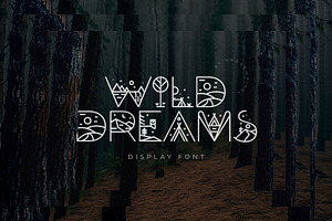 Wild Dreams Adventure Display Font