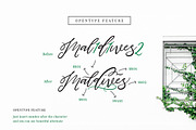 Maldives Script, a Script Font by Dirtyline Studio (Thumbnail 2 of 10)