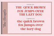 Fieasto, a Serif Font by Dora Typefoundry (Thumbnail 13 of 18)